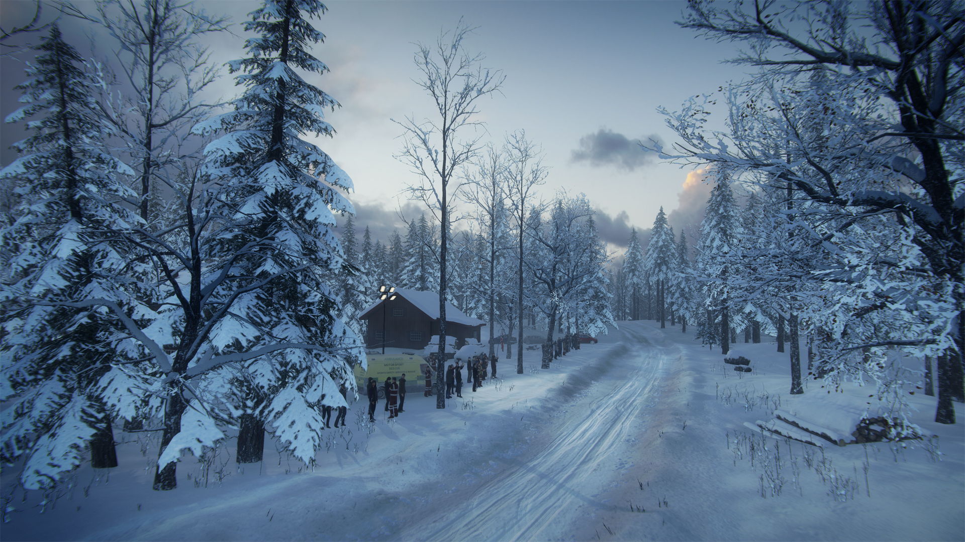 DiRT Rally 2.0 - Sweden (Rally Location) Screenshot 8