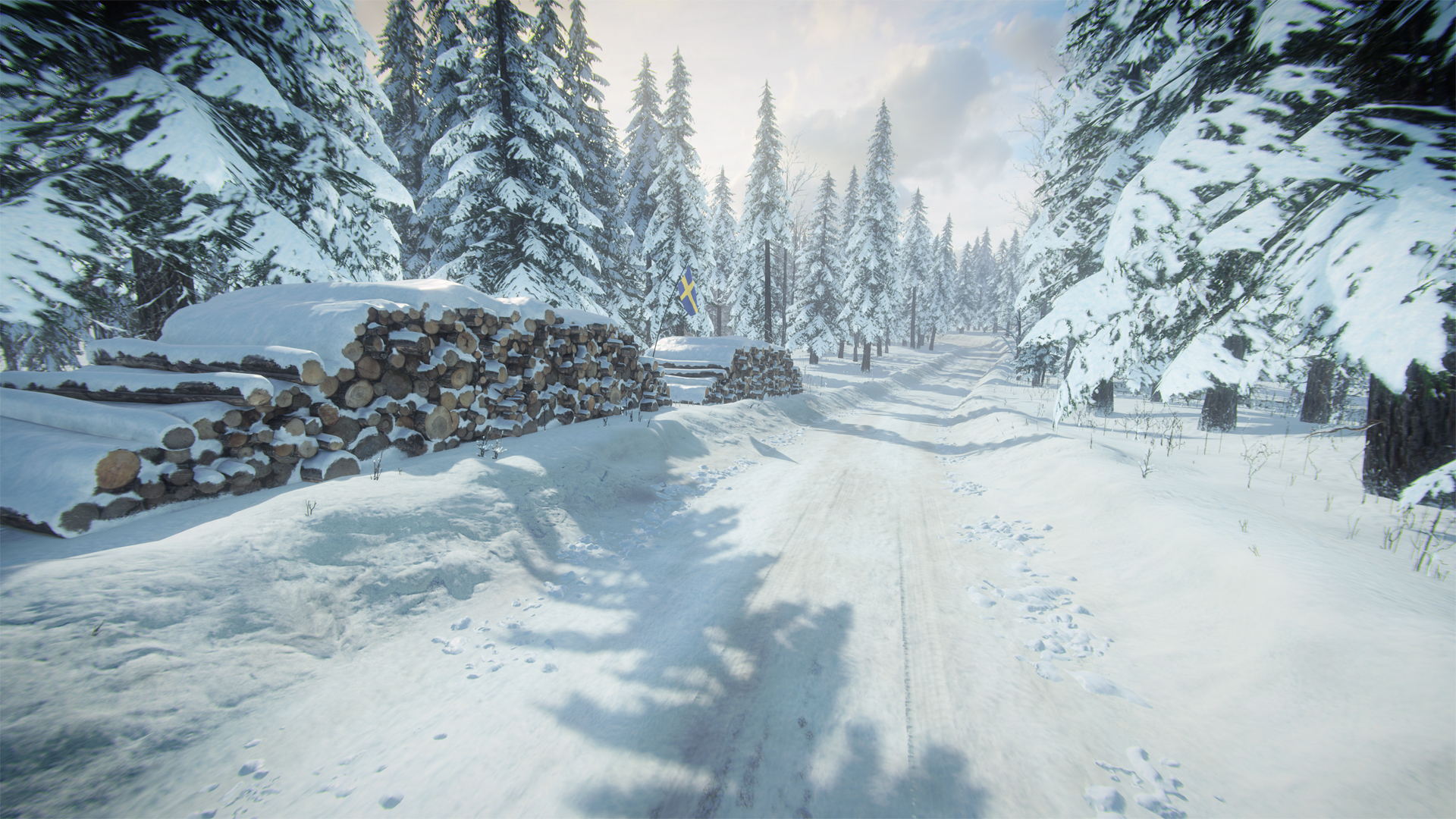 DiRT Rally 2.0 - Sweden (Rally Location) Screenshot 1