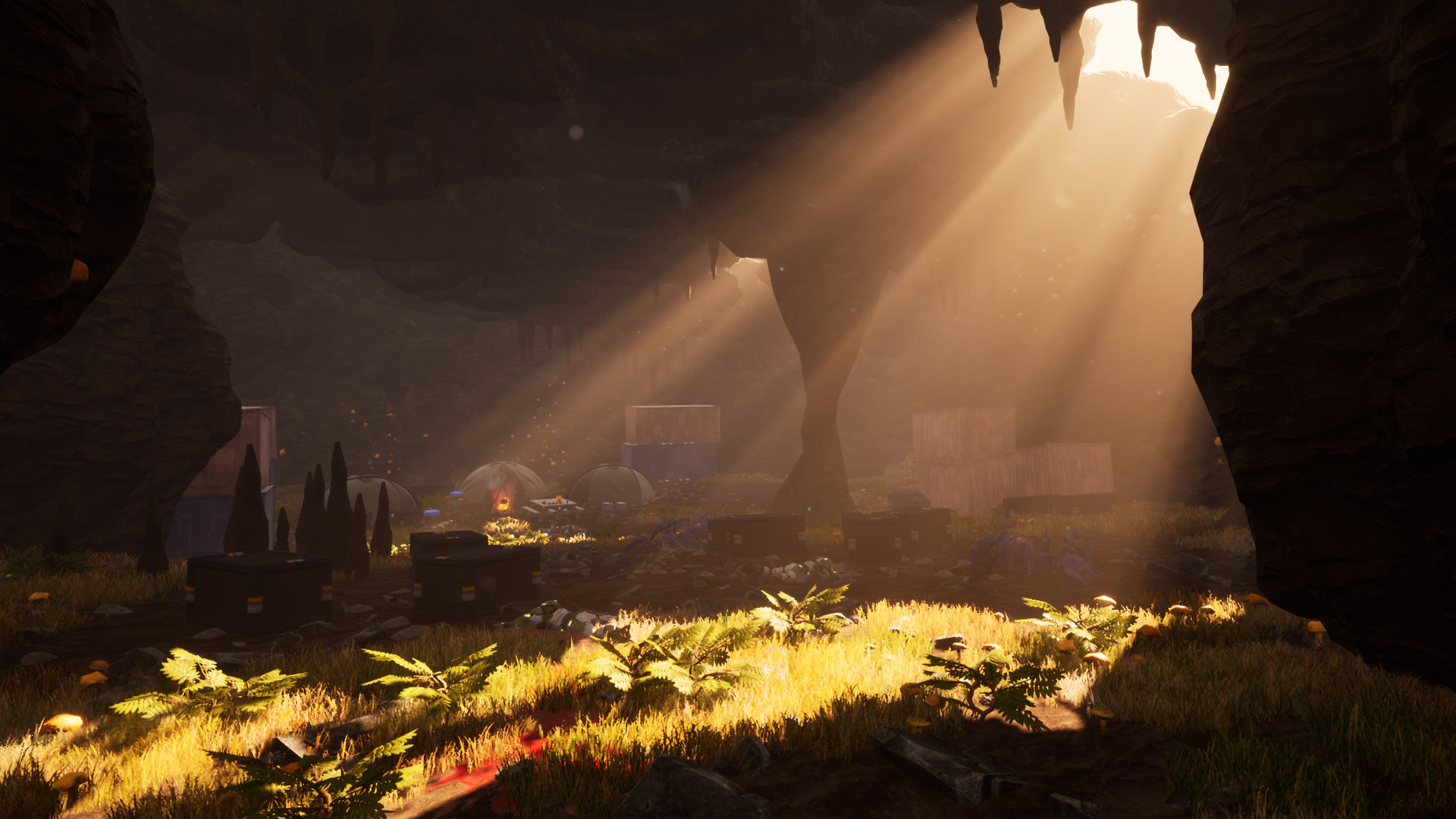 Within the Cosmos Screenshot 4