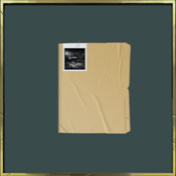 Detective apprentice icon