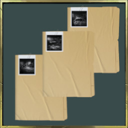 Detective expert icon