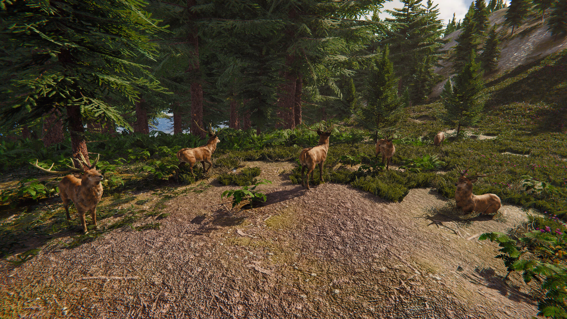 The Lost Hunter Screenshot 4