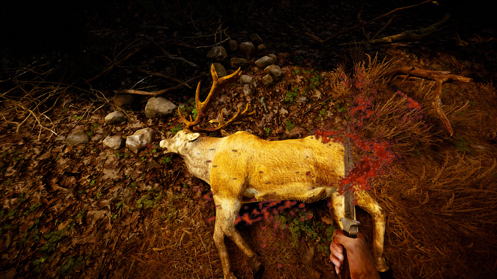 The Lost Hunter Screenshot 10