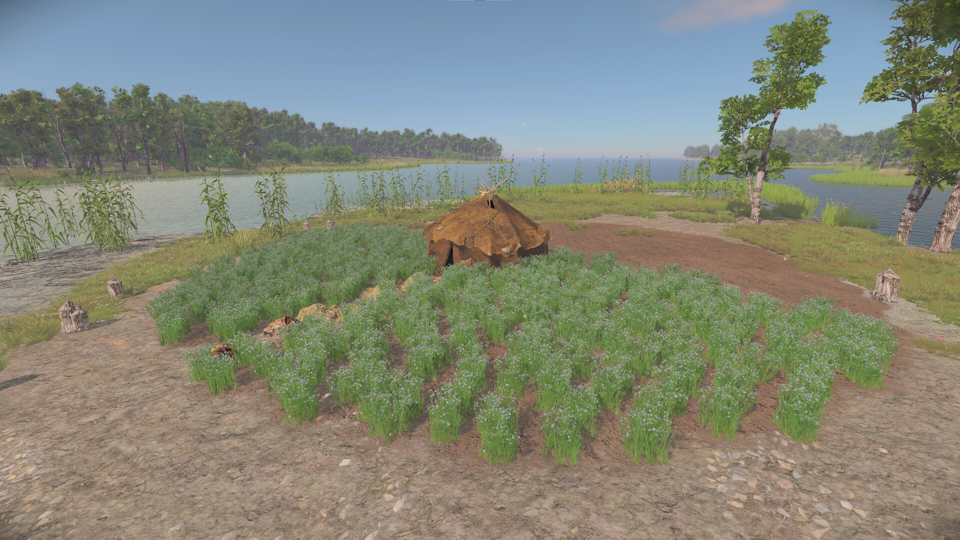 Ancient Cities Screenshot 14