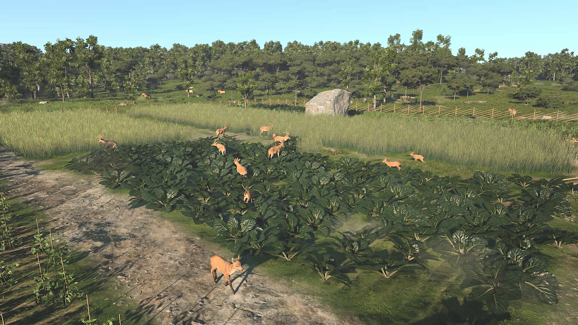 Ancient Cities Screenshot 8