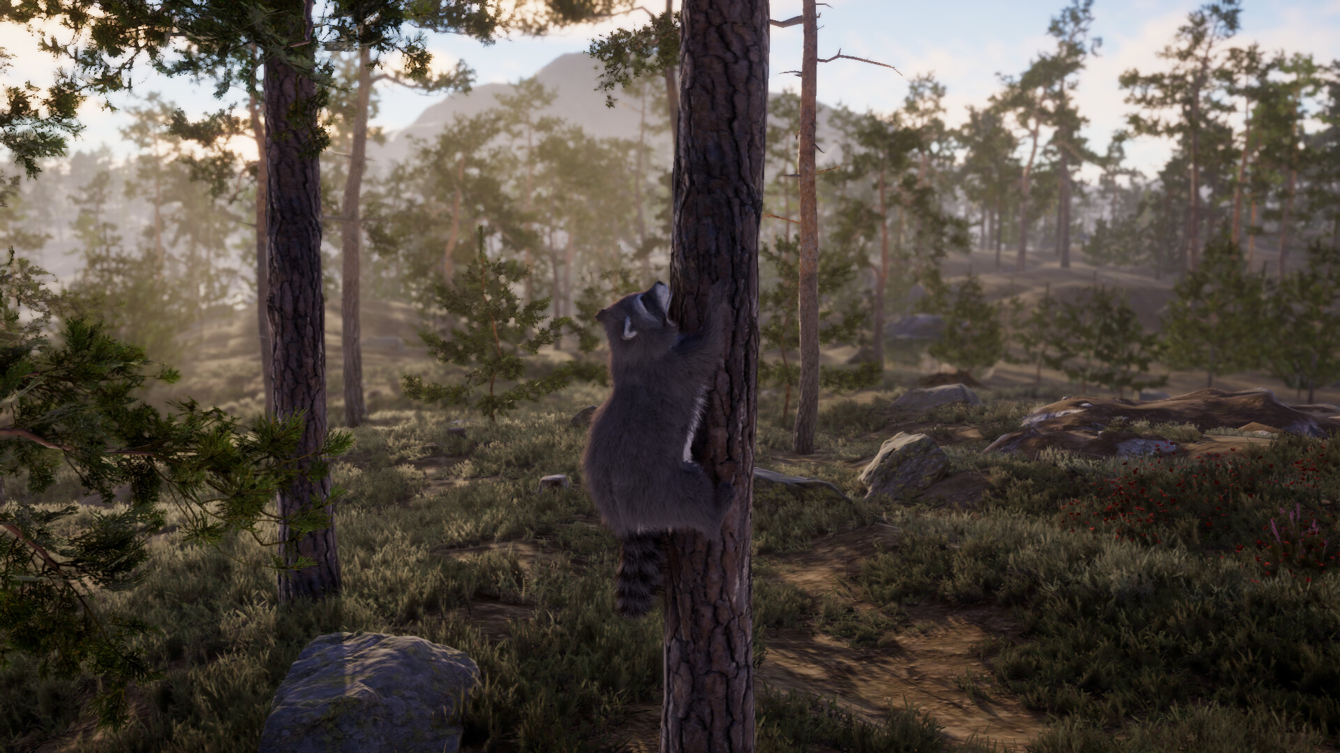 The lost trail Screenshot 0