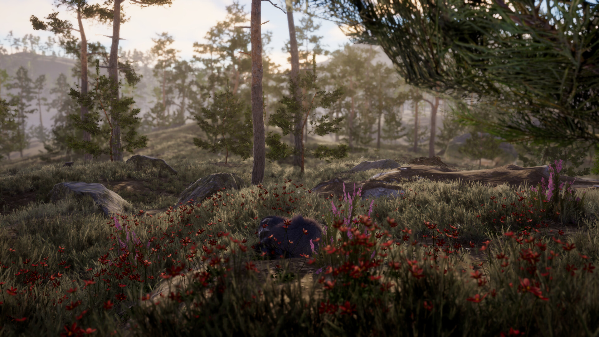 The lost trail Screenshot 1