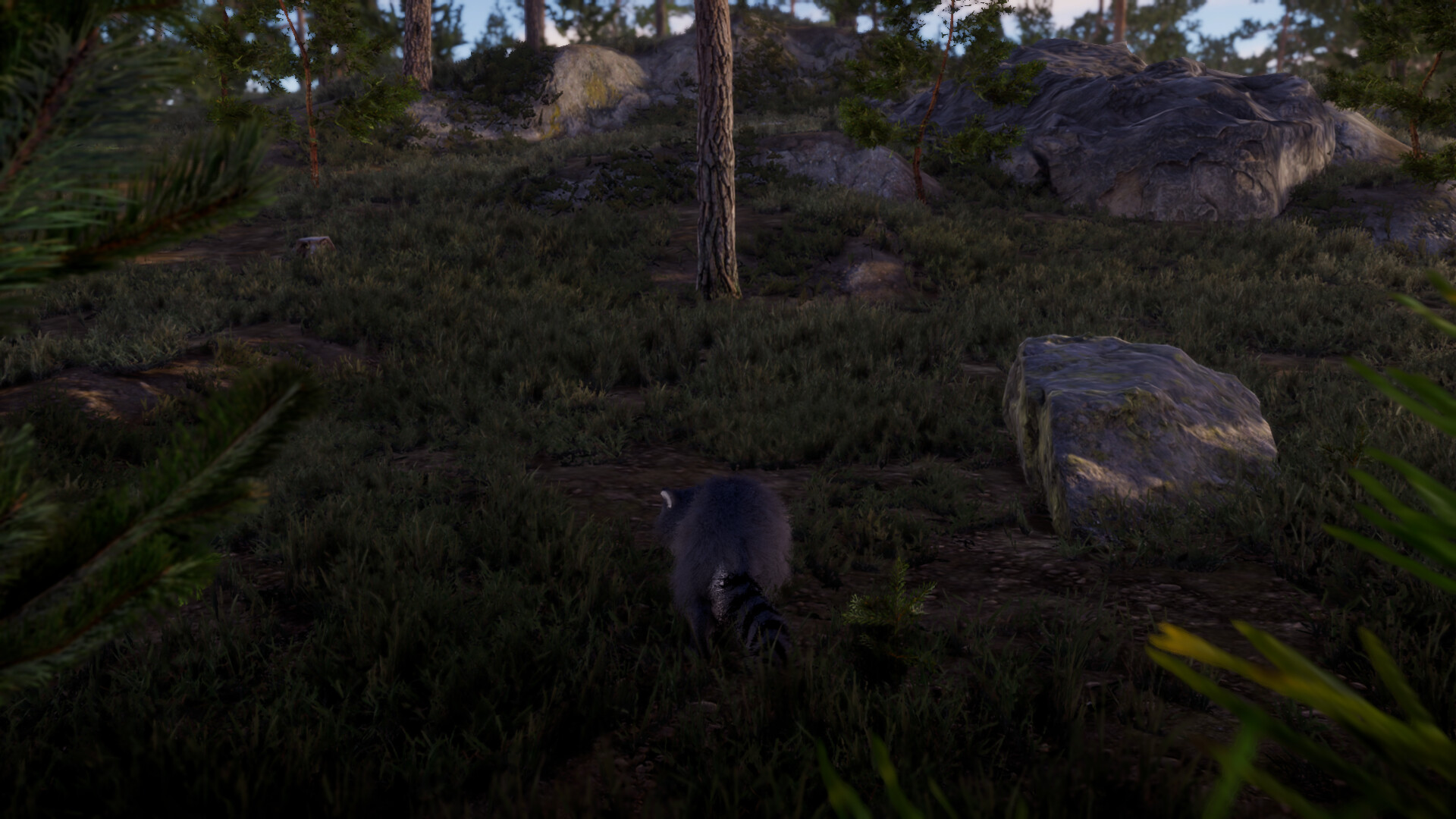 The lost trail Screenshot 3