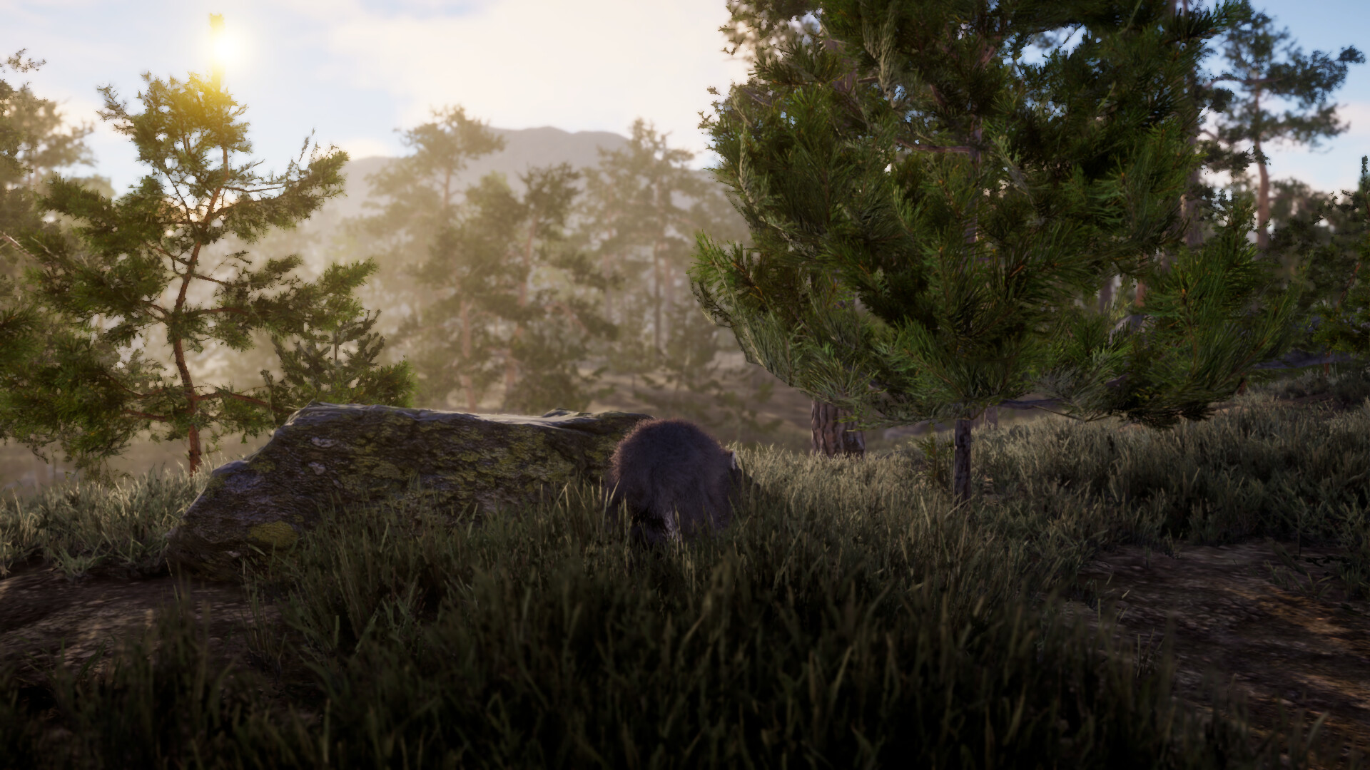 The lost trail Screenshot 4