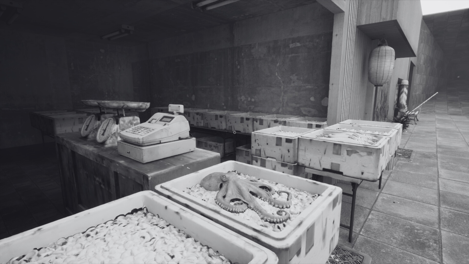 ノースウェステリアの子供 Screenshot 4