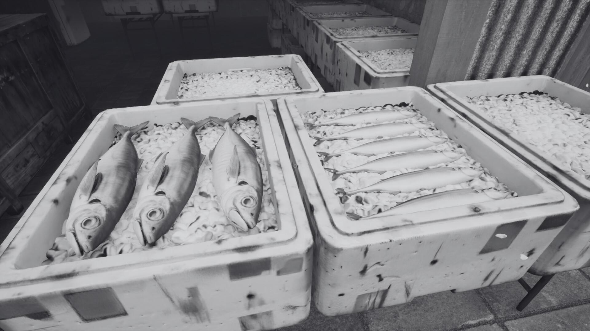 ノースウェステリアの子供 Screenshot 8