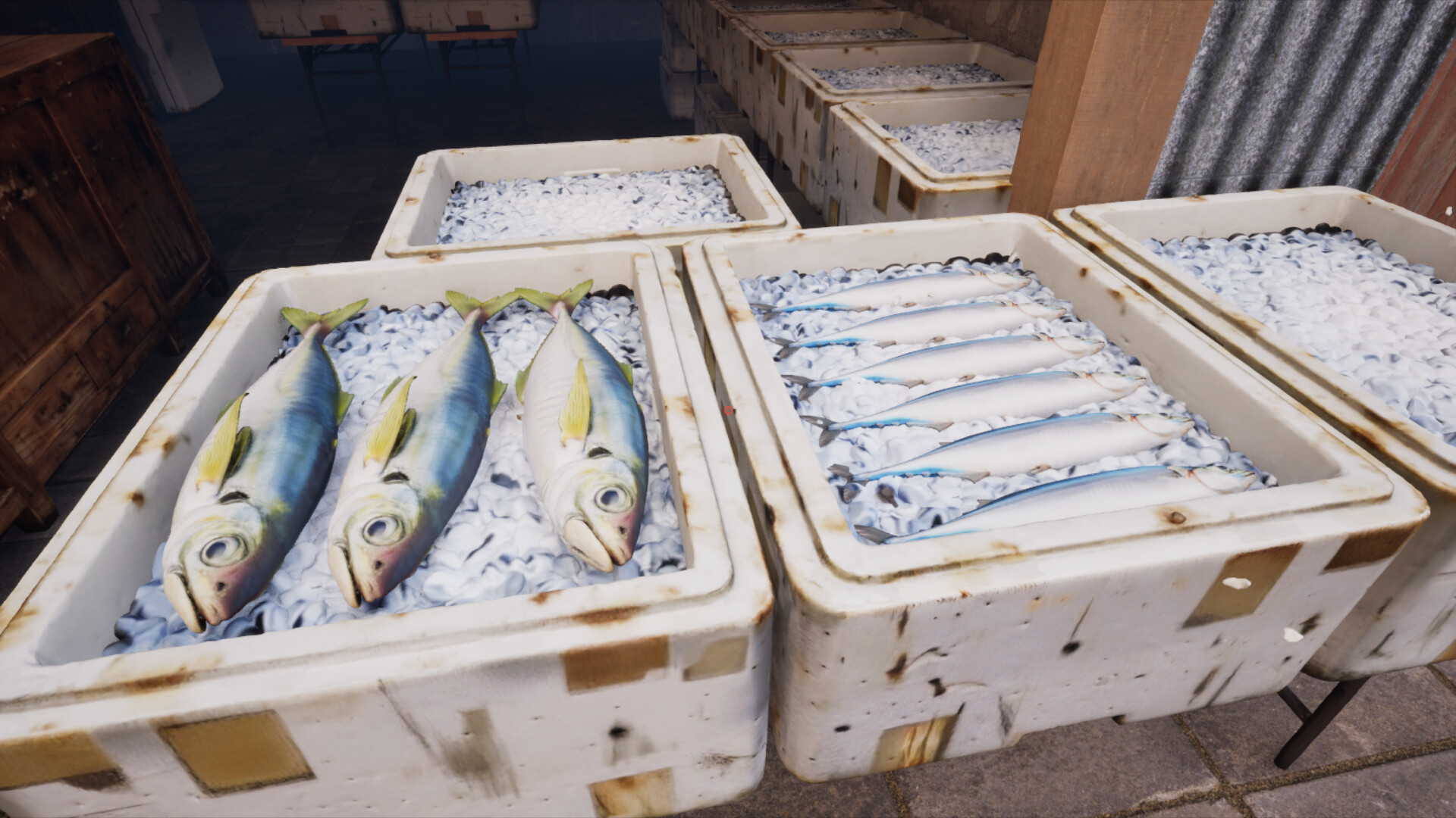 ノースウェステリアの子供 Screenshot 9