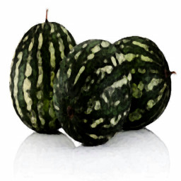 Three watermelons icon