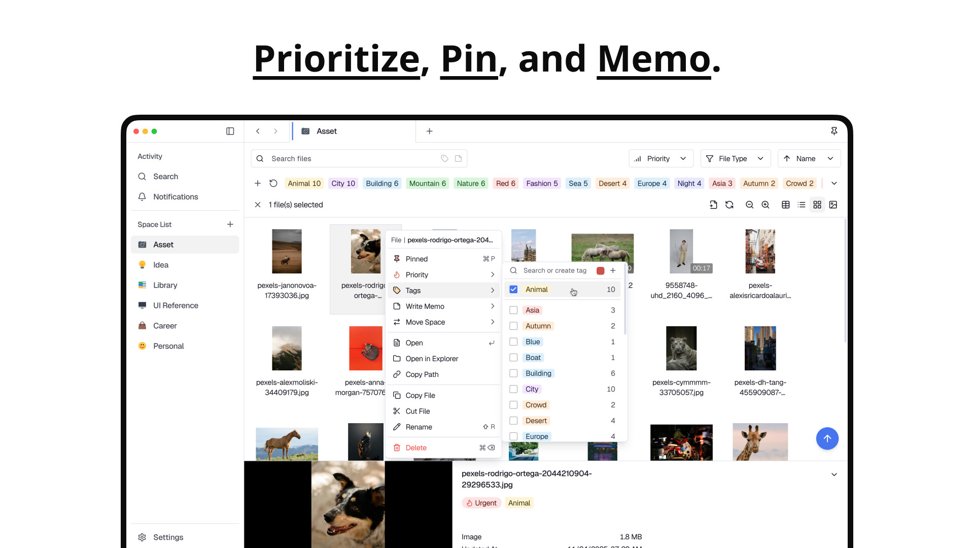 Spacer — Tag-based File Explorer Screenshot 2