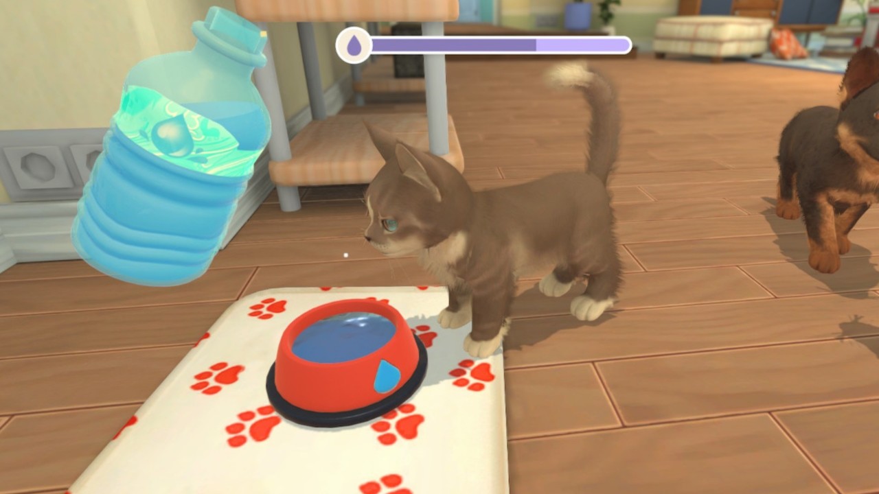 My Universe - Puppies & Kittens Screenshot 4