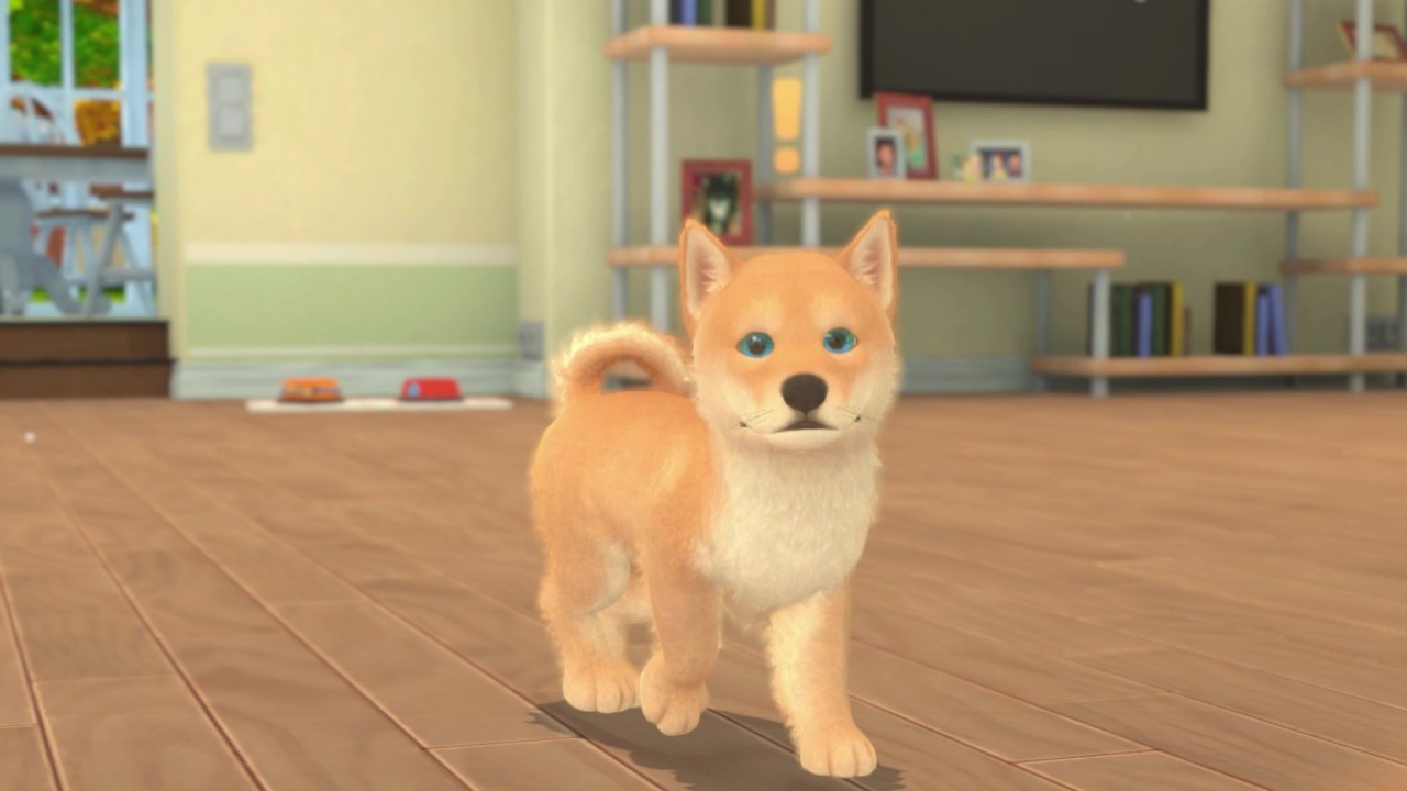 My Universe - Puppies & Kittens Screenshot 1