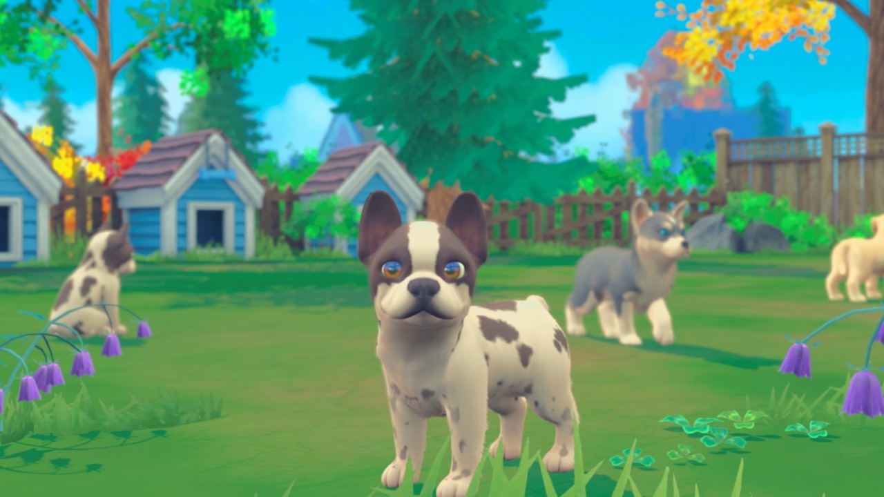 My Universe - Puppies & Kittens Screenshot 2