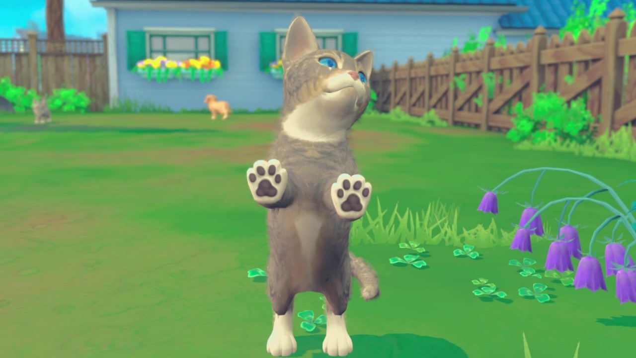 My Universe - Puppies & Kittens Screenshot 5