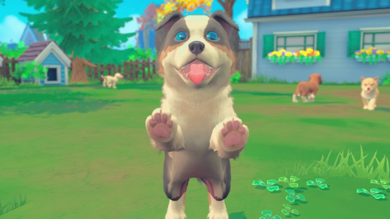 My Universe - Puppies & Kittens Screenshot 3