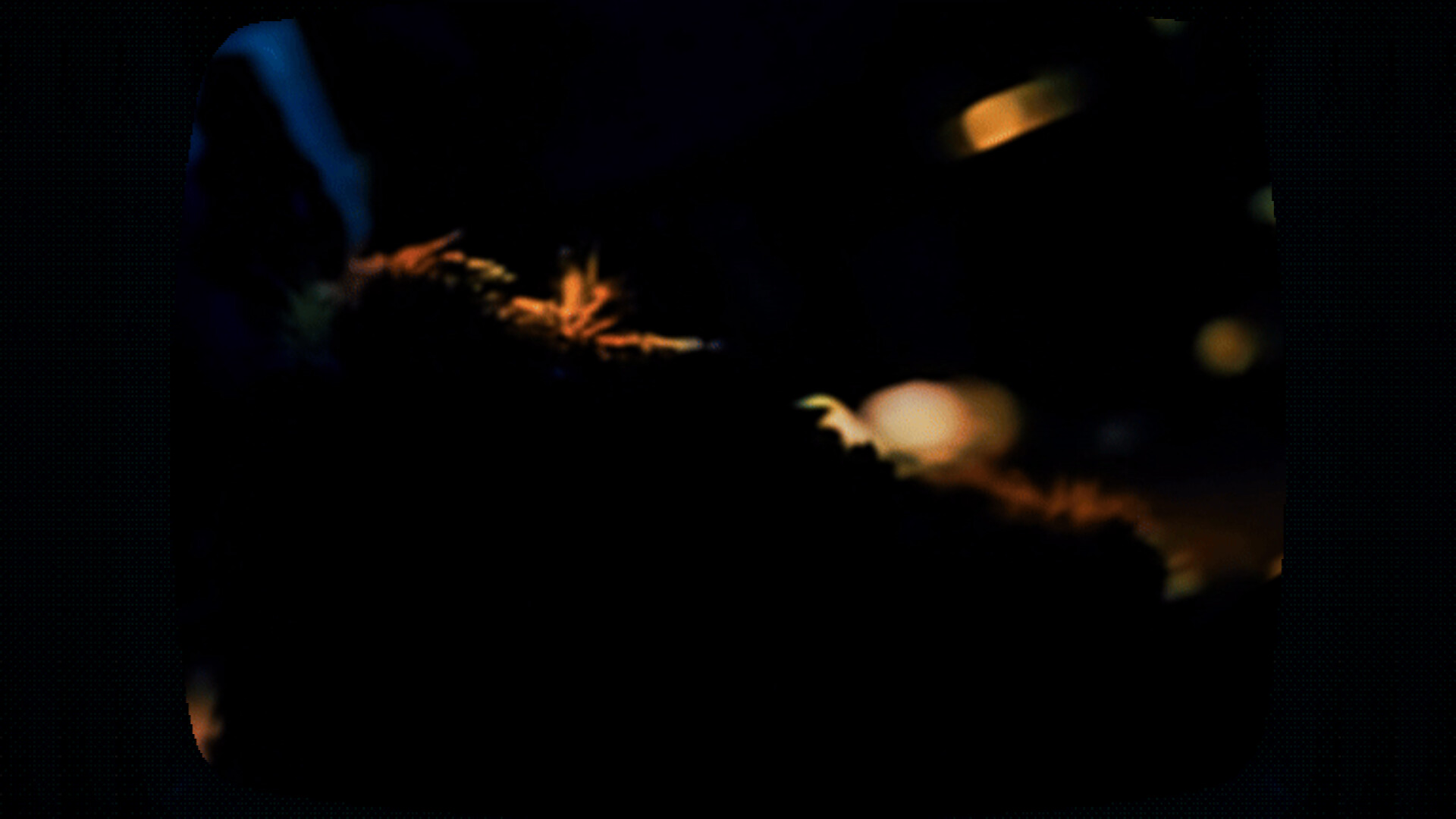 Cat Got Your Tongue Screenshot 2