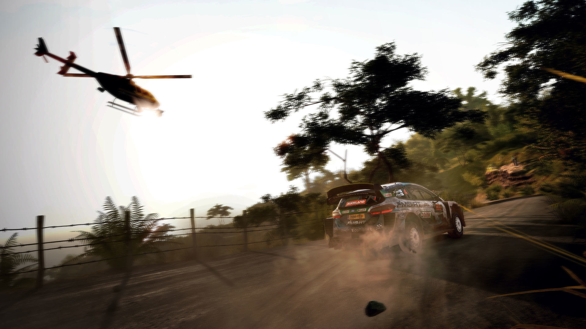WRC 9 FIA World Rally Championship Screenshot 1