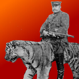 Tigers Tamer icon