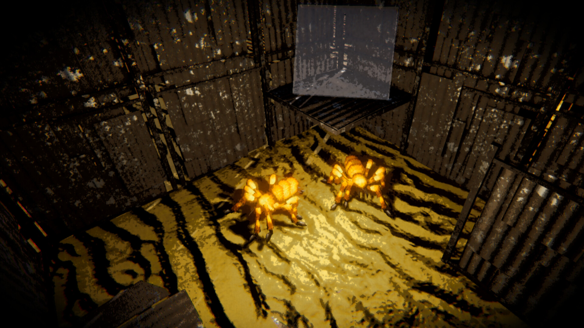 Hey Tom! Screenshot 2