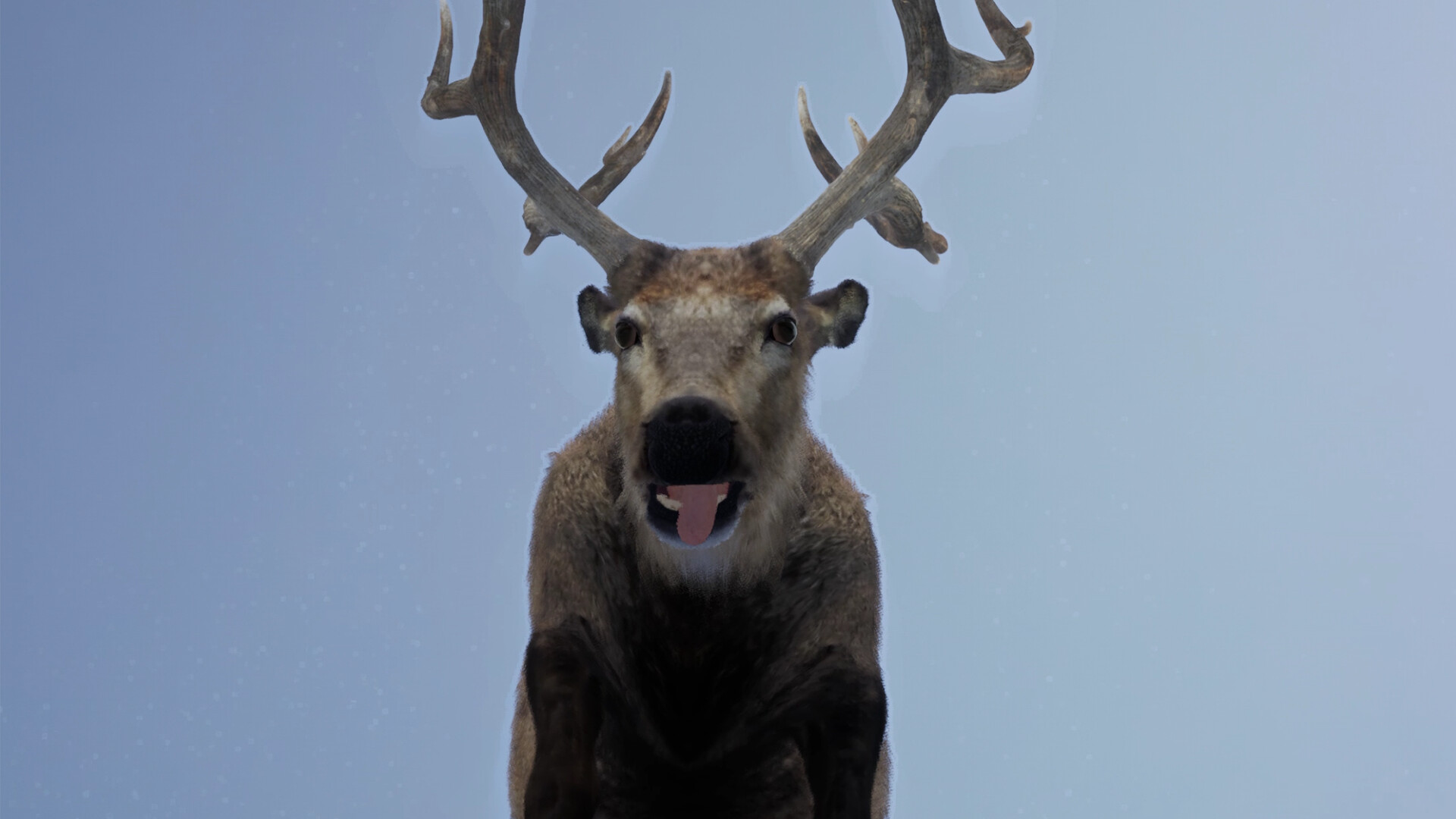 Hoofobia Screenshot 3