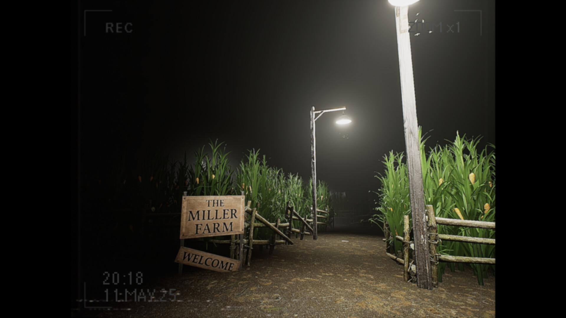 What Happened to Lily? Screenshot 3