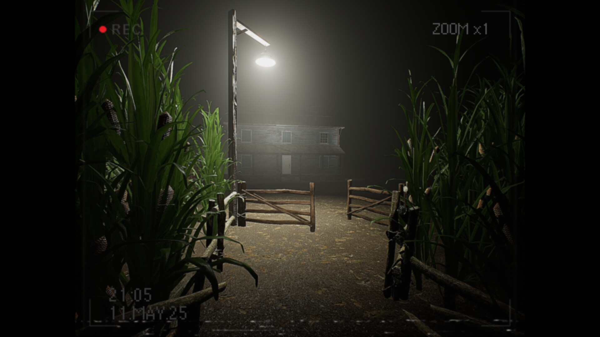 What Happened to Lily? Screenshot 1