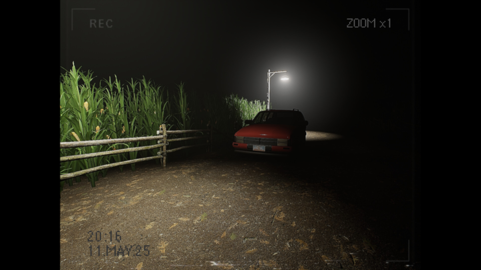 What Happened to Lily? Screenshot 0