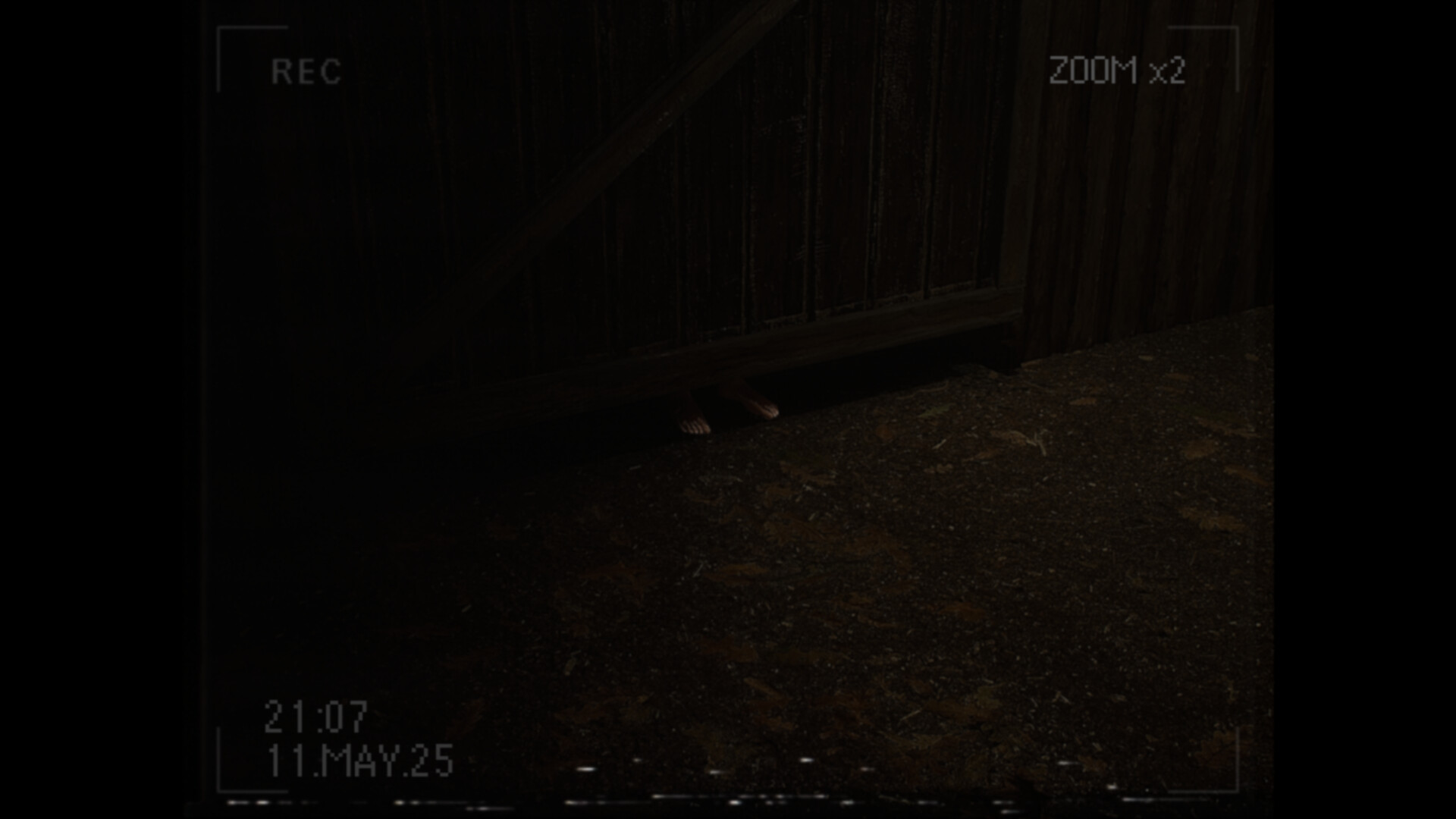 What Happened to Lily? Screenshot 4