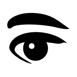The Best Eye icon