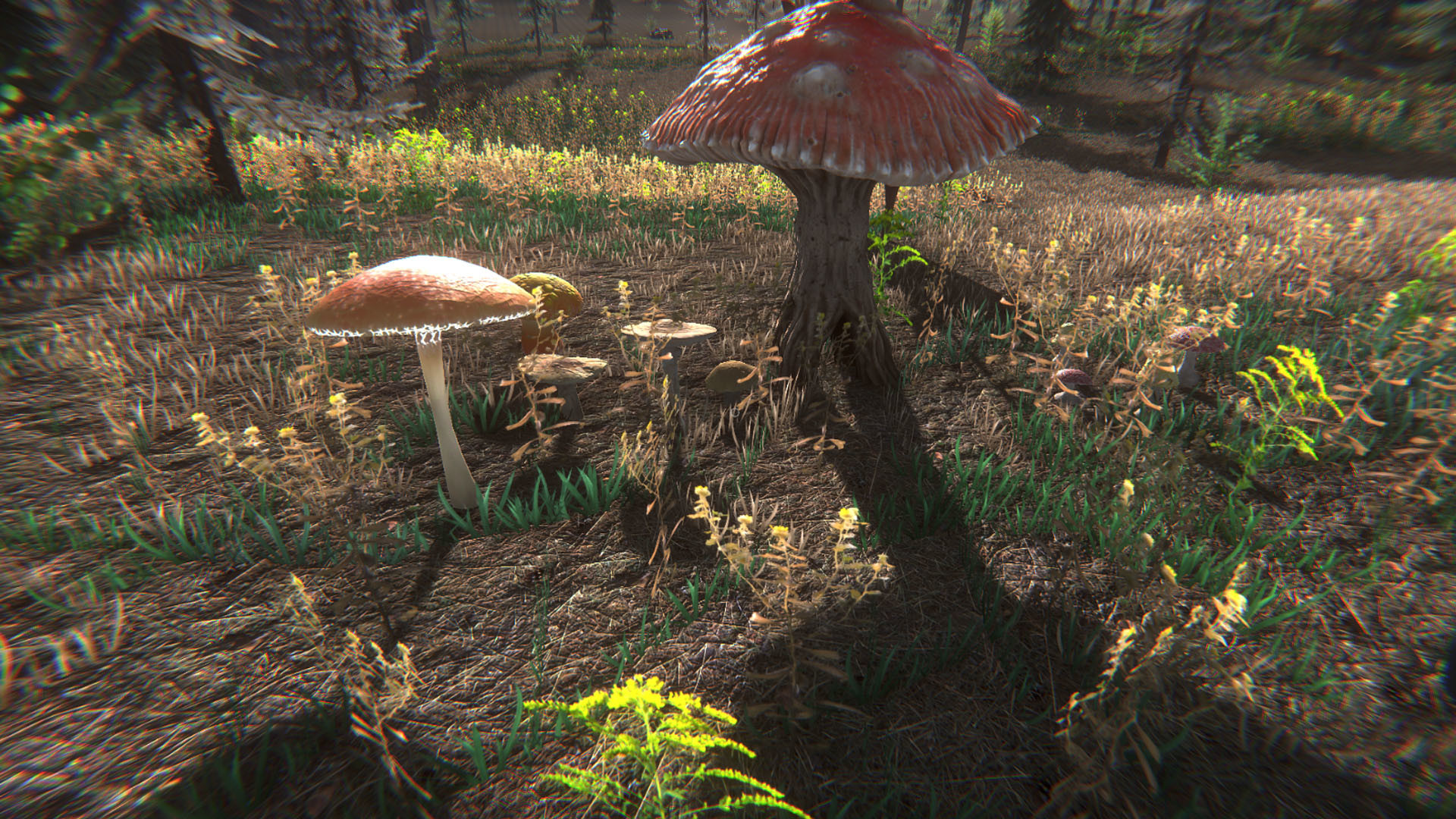 Mushroom Challenge Screenshot 7
