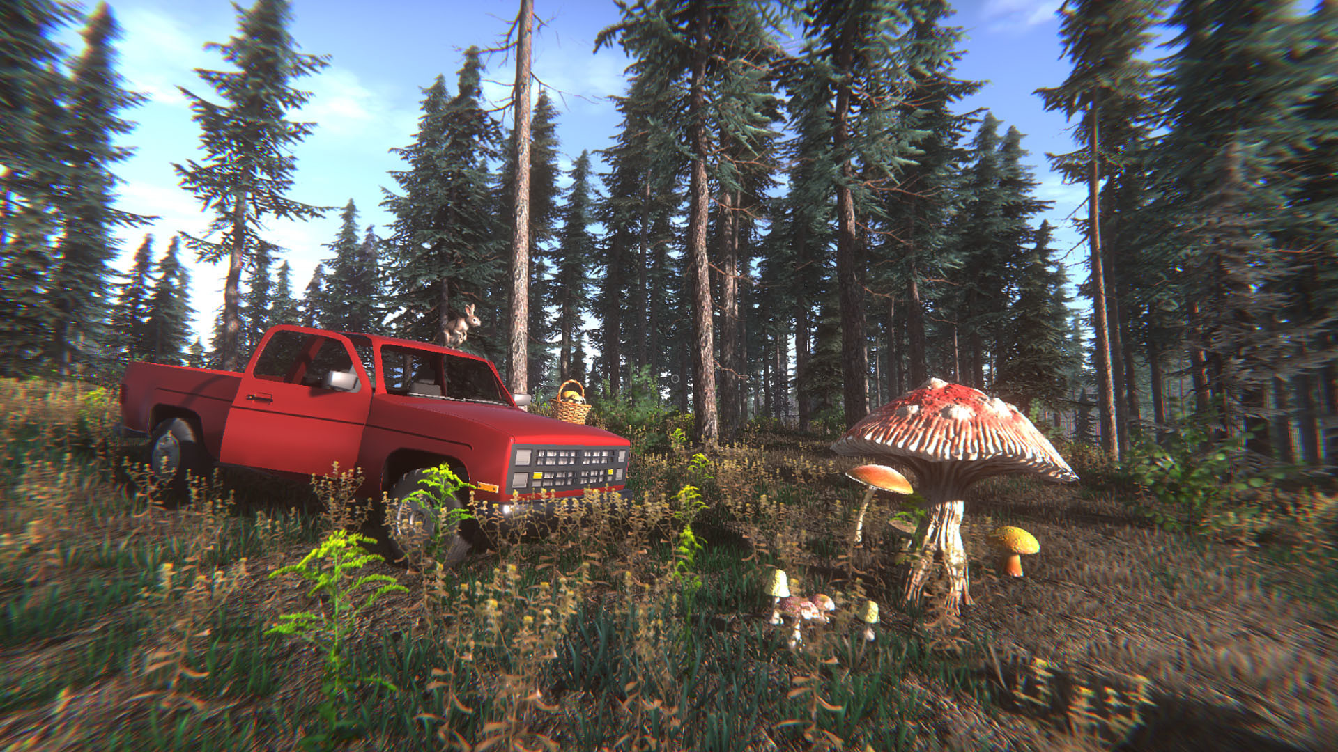 Mushroom Challenge Screenshot 6