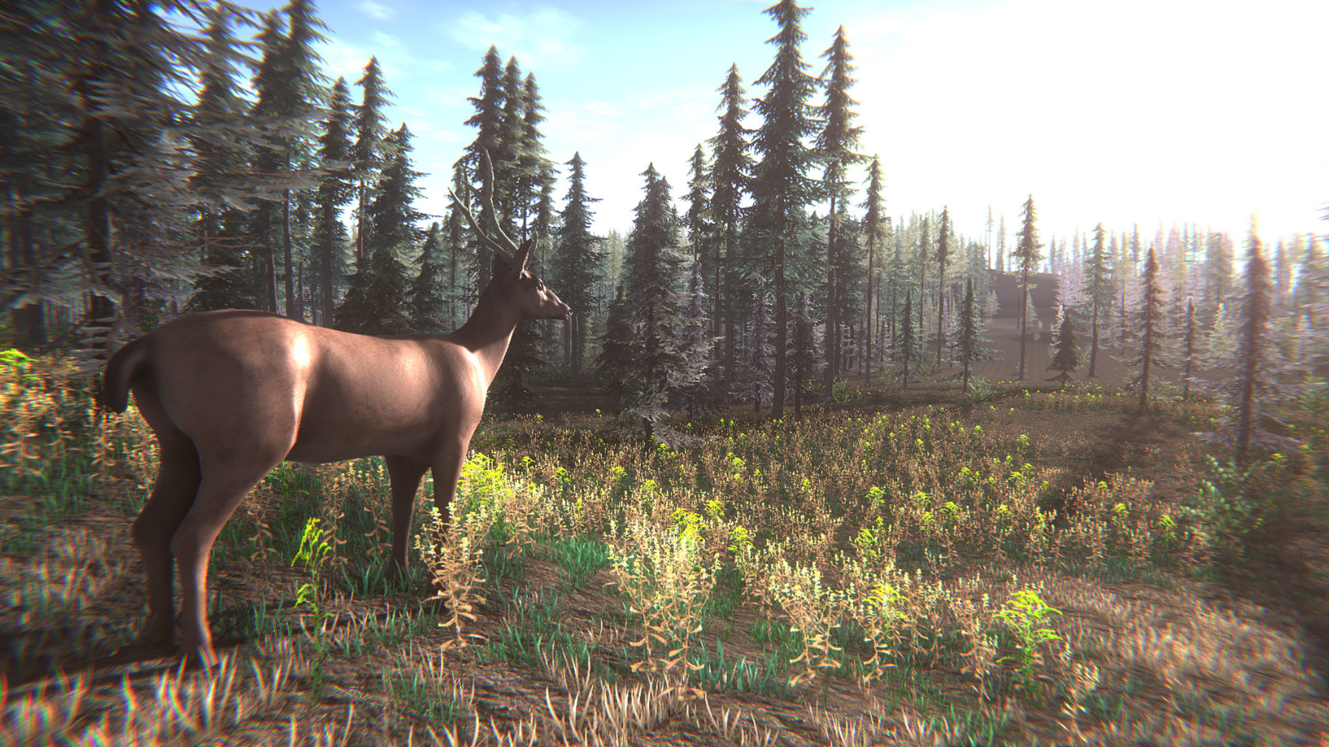 Mushroom Challenge Screenshot 5