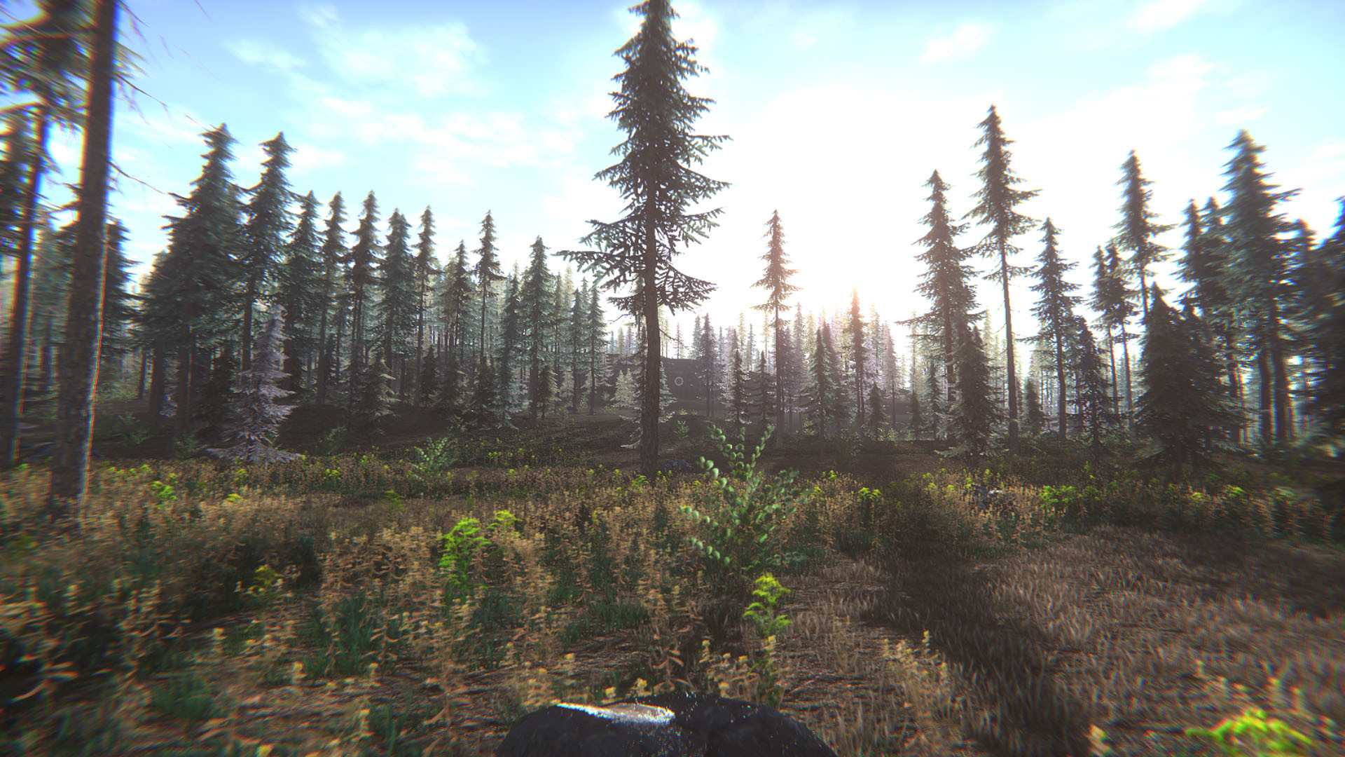 Mushroom Challenge Screenshot 4