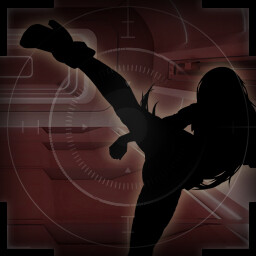 Agile Fighter icon