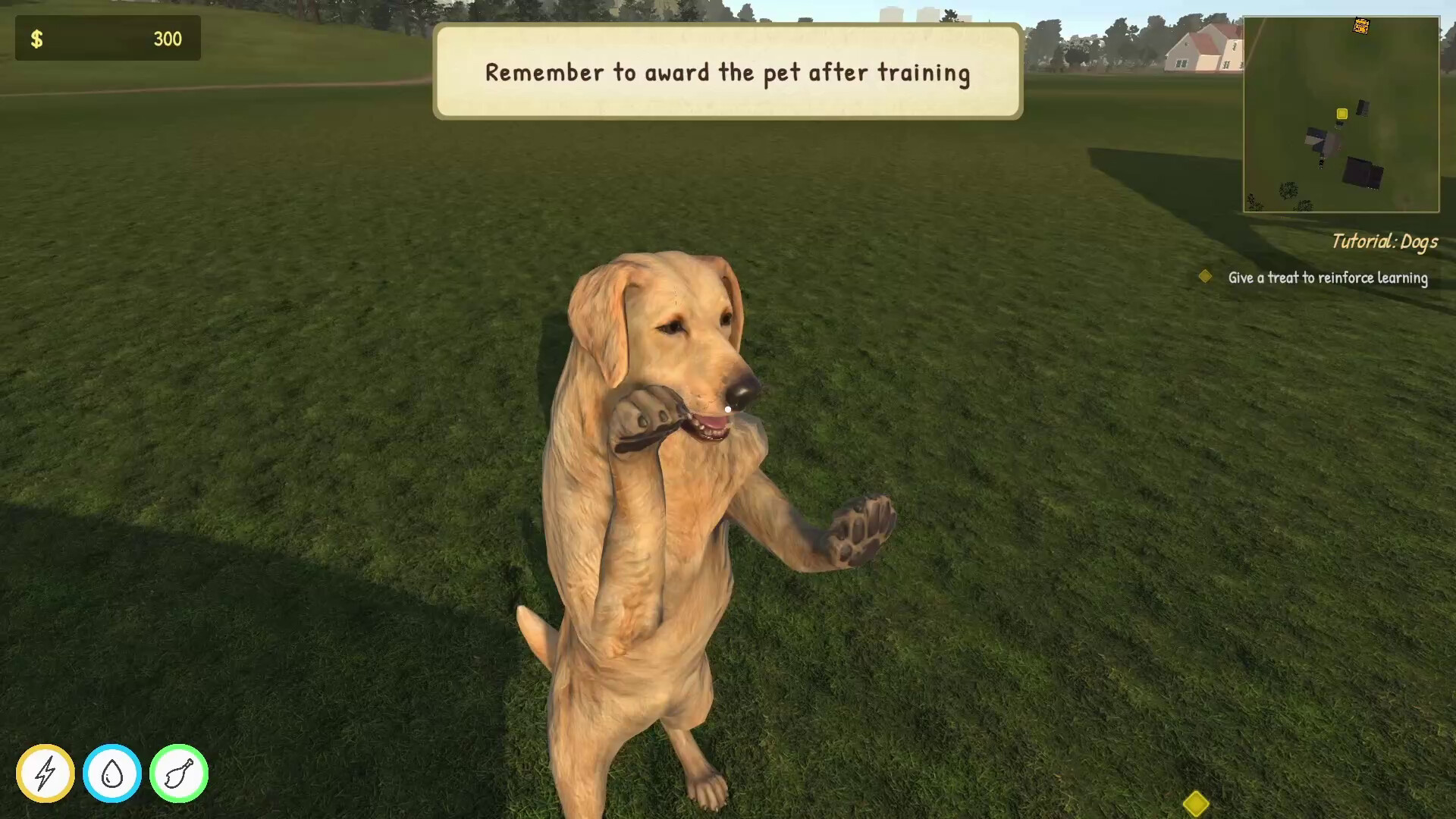 Animal Trainer Simulator Screenshot 5