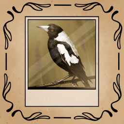 Fix the Bird Display icon