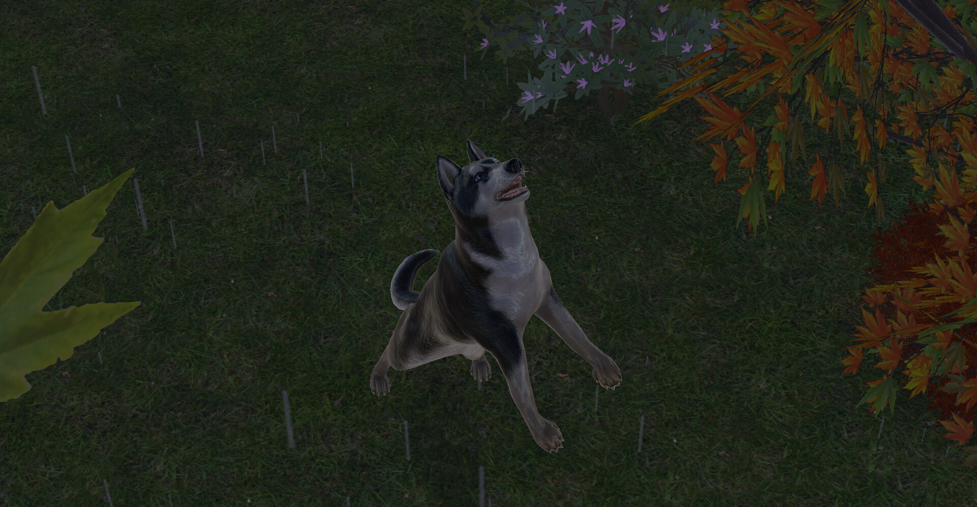 Pets Hotel: Prologue Screenshot 19