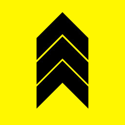 The Professional icon