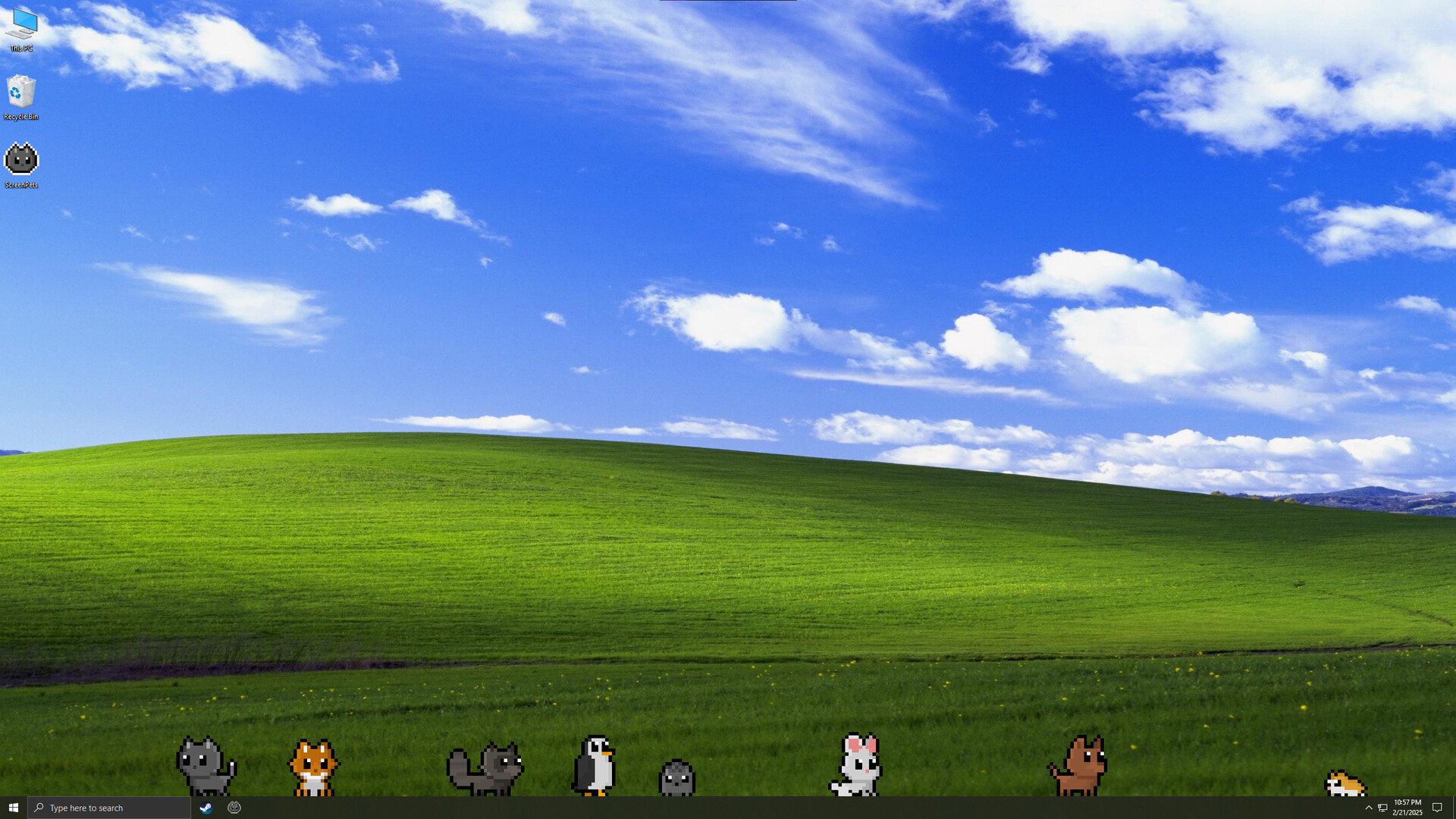 Screen Pets Screenshot 3