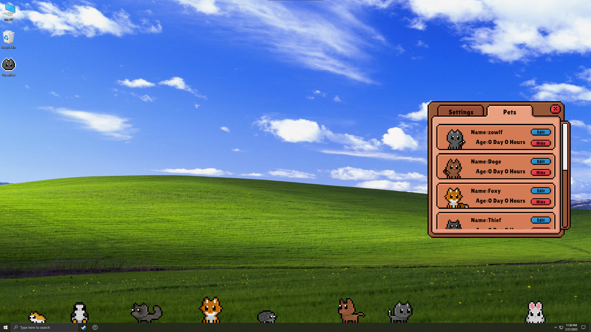 Screen Pets Screenshot 10