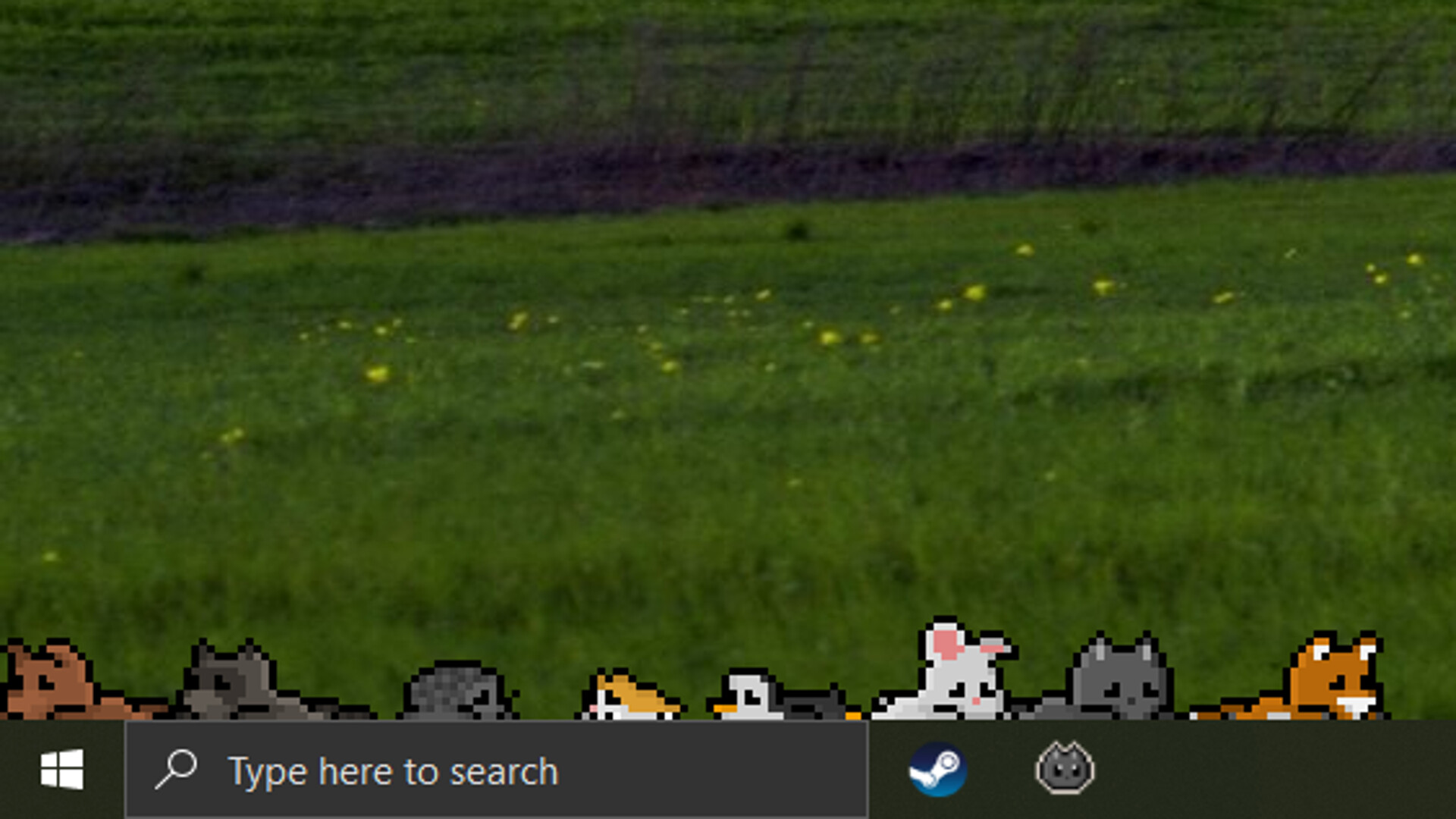 Screen Pets Screenshot 5