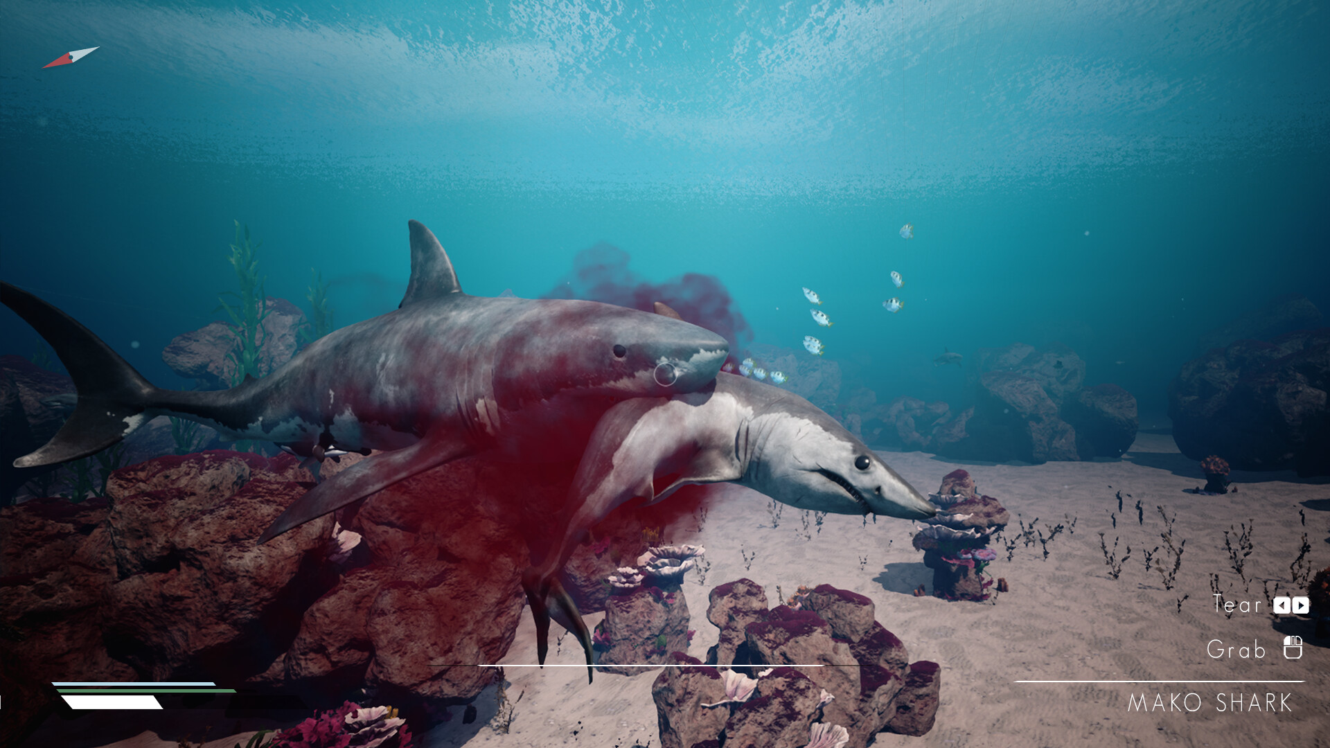 Infinite Blue Screenshot 3