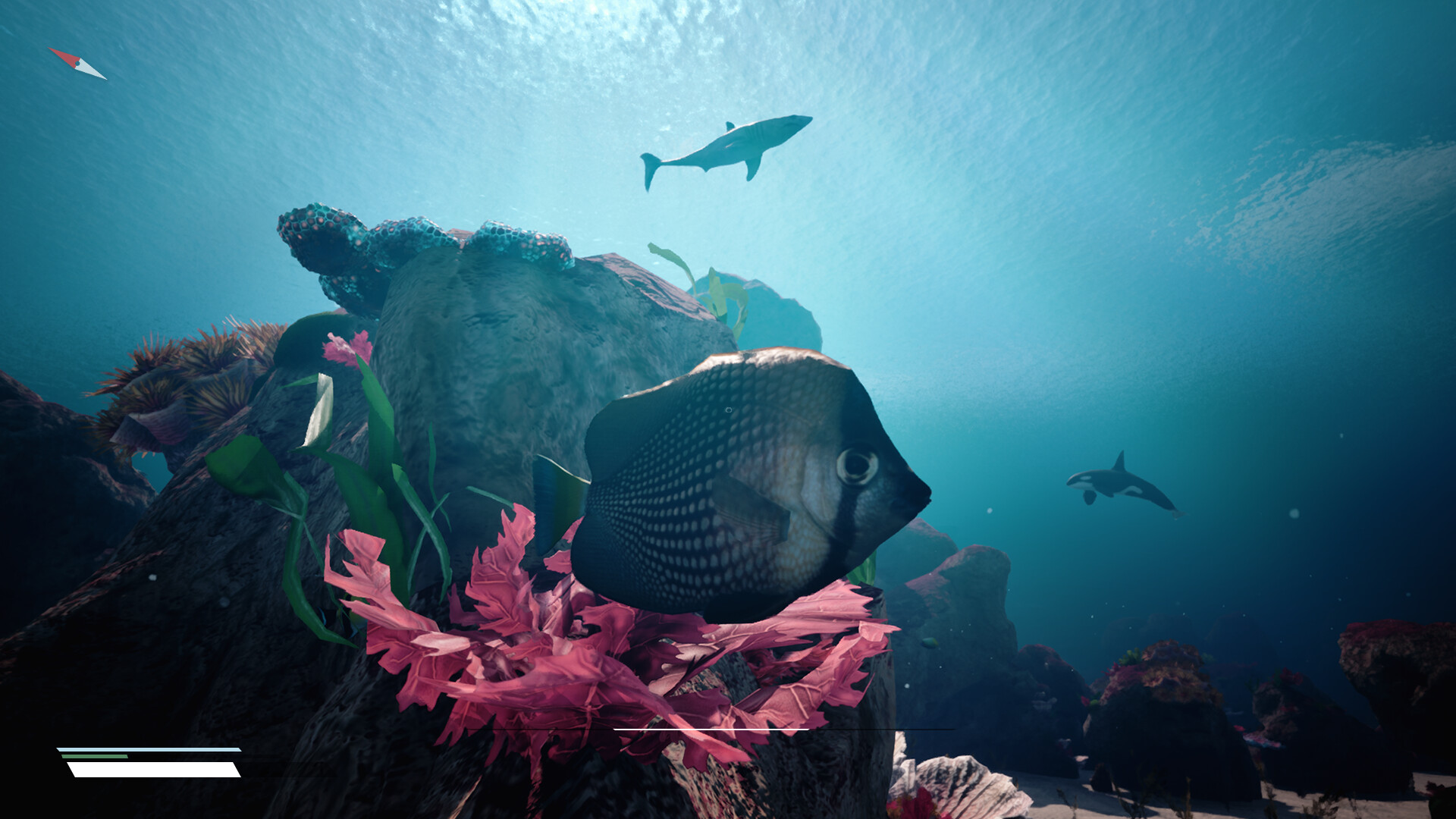 Infinite Blue Screenshot 0