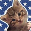 Kitten, Around icon