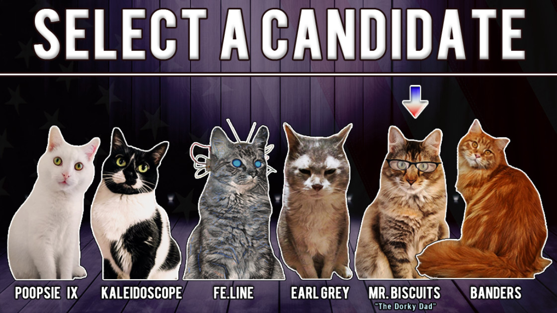 Cat President 2: Purrlitical Revolution Screenshot 6