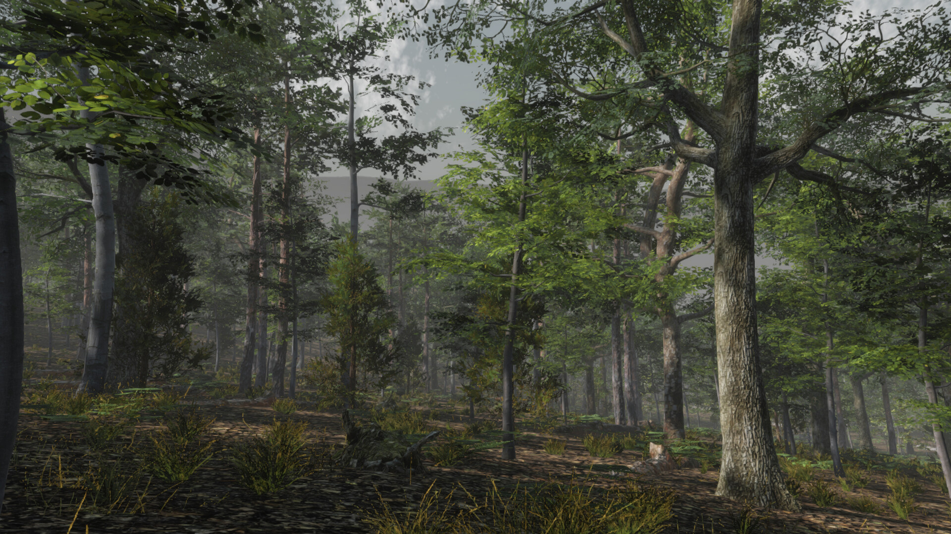 Deer Hunting Camp Screenshot 8